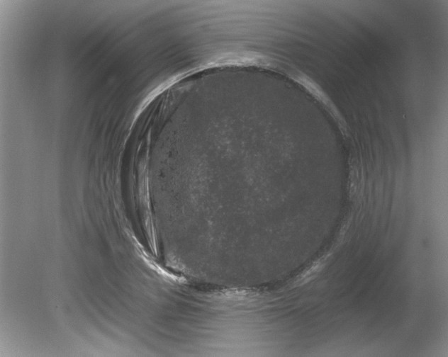 X0000081570834200701221050