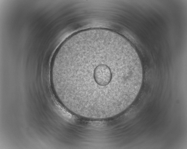 X0000081570836200701221050