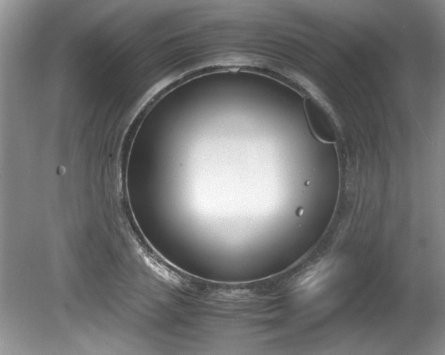 X0000081570837200701221050