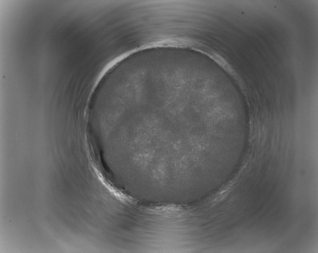 X0000081570838200701221051