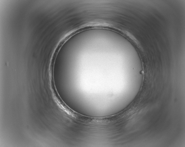 X0000081570840200701221051