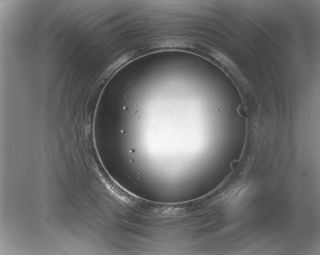 X0000081570841200701221051