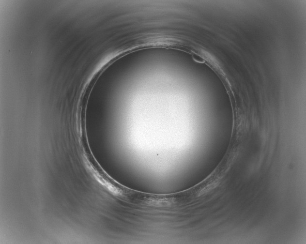 X0000081570843200701221051