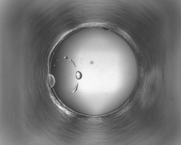 X0000081570844200701221051