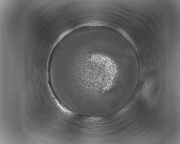 X0000081570845200701221051