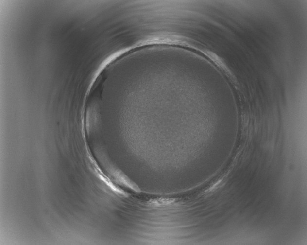 X0000081570846200701221051