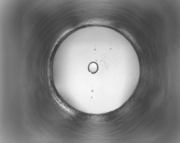 X0000081570848200701221051