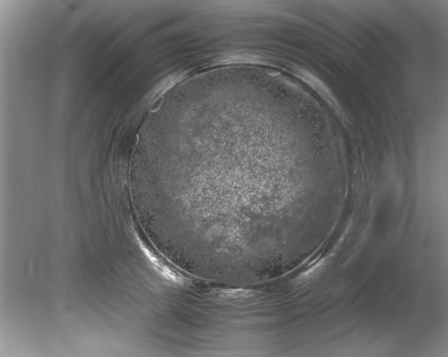 X0000081570849200701221051