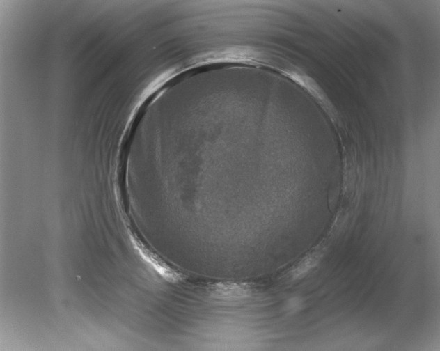 X0000081570850200701221051