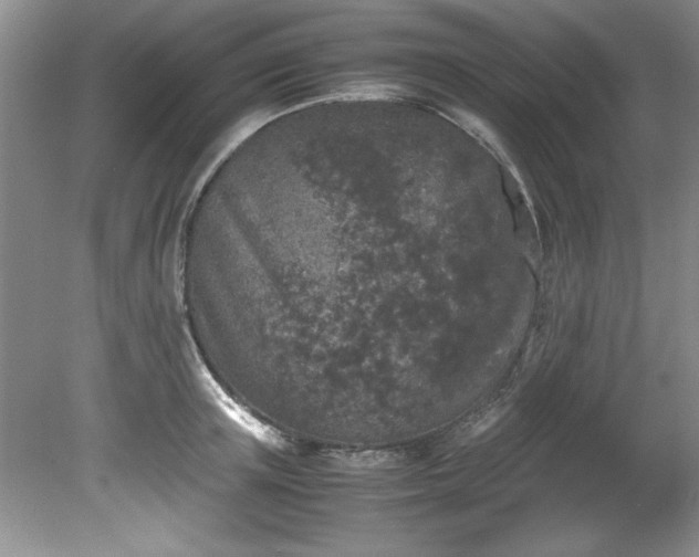 X0000081570851200701221051