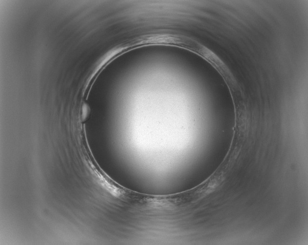 X0000081570852200701221051