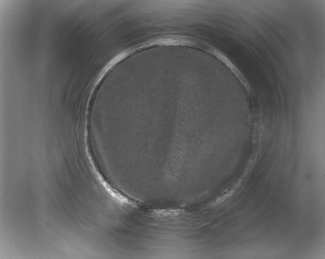 X0000081570853200701221051