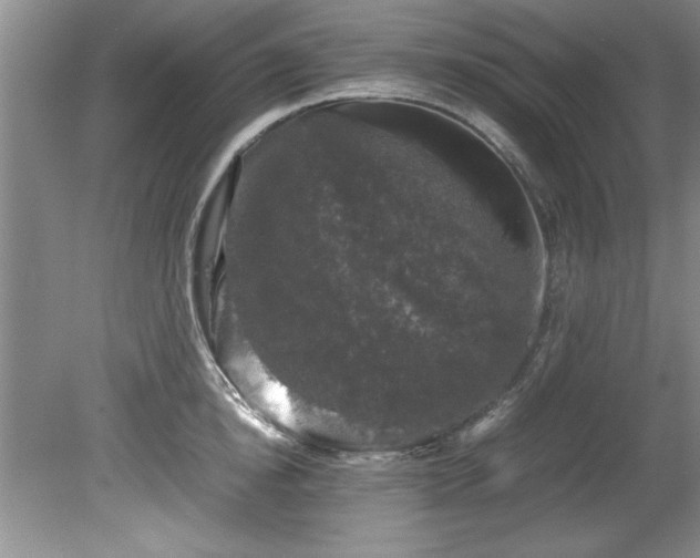 X0000081570854200701221051