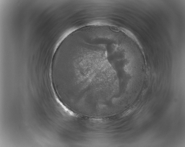 X0000081570855200701221051