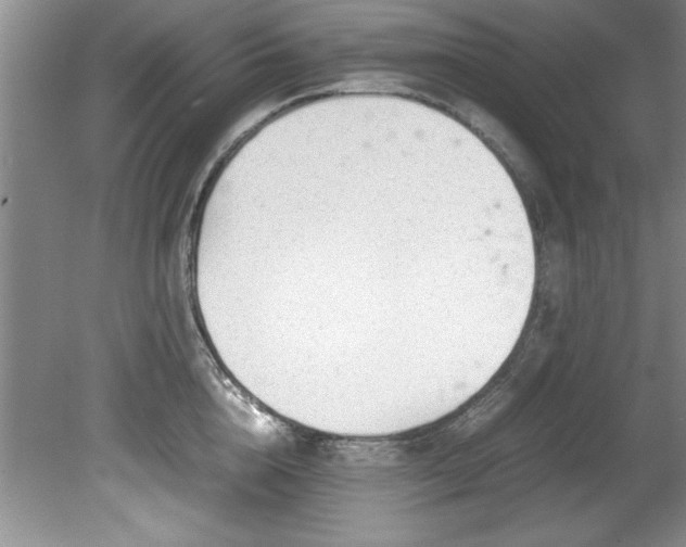 X0000081570856200701221051