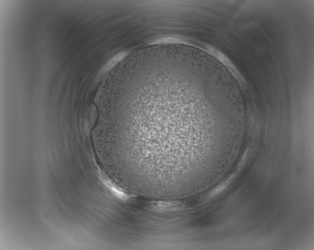 X0000081570857200701221051