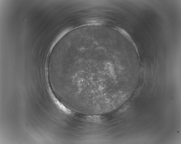 X0000081570859200701221051