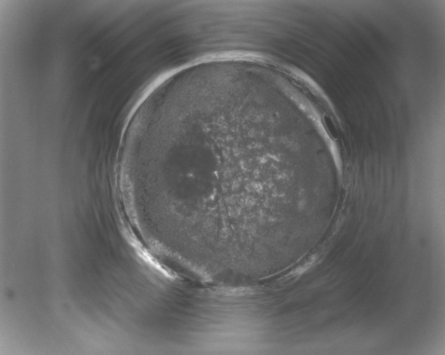 X0000081570860200701221051