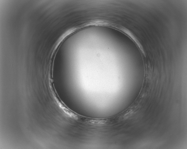 X0000081570861200701221051