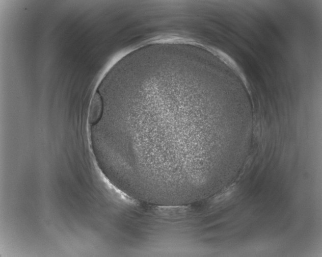 X0000081570863200701221051