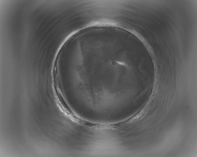 X0000081570864200701221051