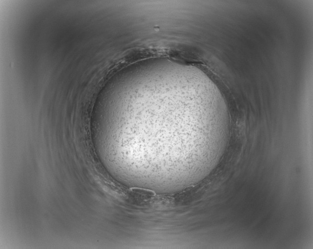 X0000081570865200701221050