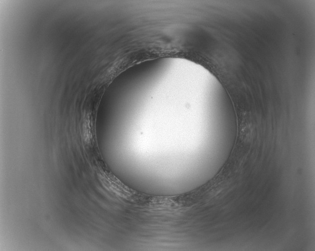 X0000081570866200701221050