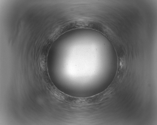 X0000081570867200701221050