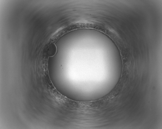 X0000081570870200701221050