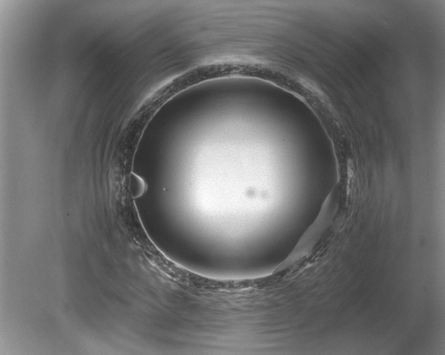 X0000081570872200701221050