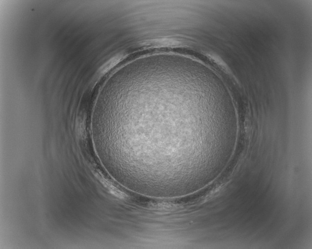 X0000081570873200701221050