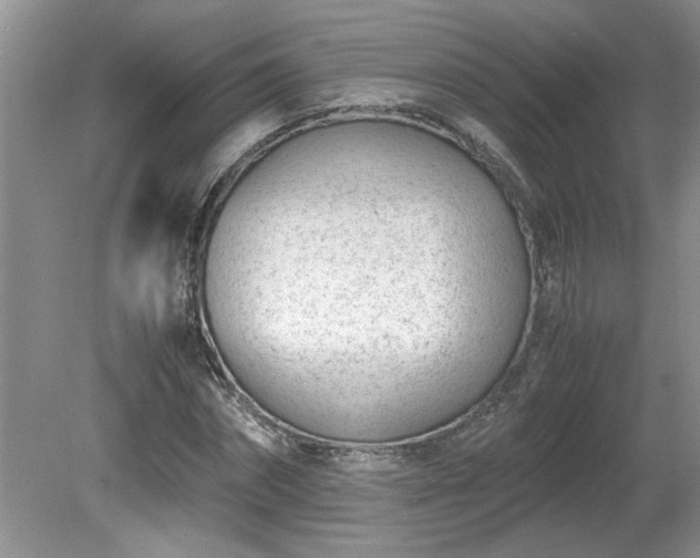 X0000081570874200701221050