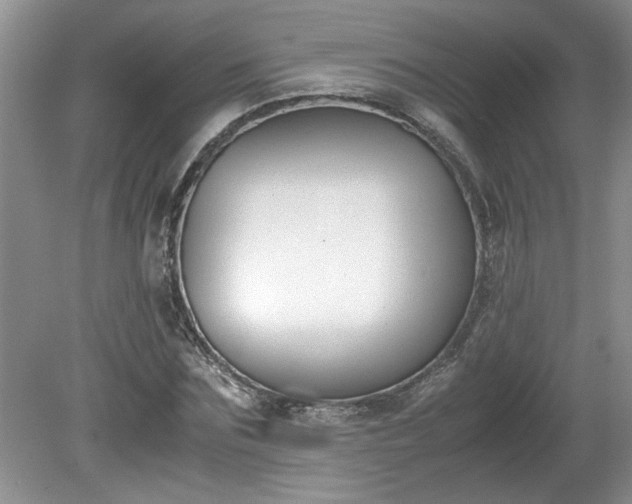 X0000081570875200701221050