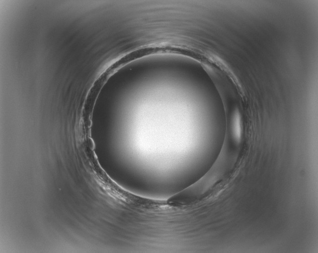 X0000081570876200701221050