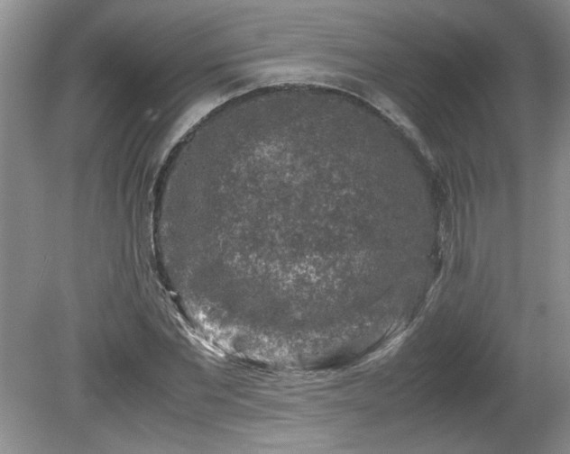 X0000081570877200701221050