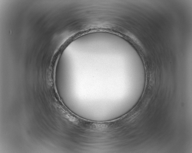 X0000081570878200701221050