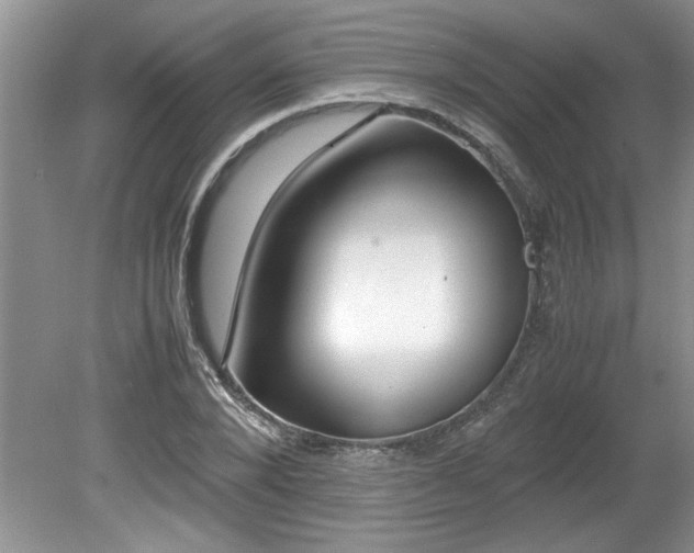 X0000081570880200701221050