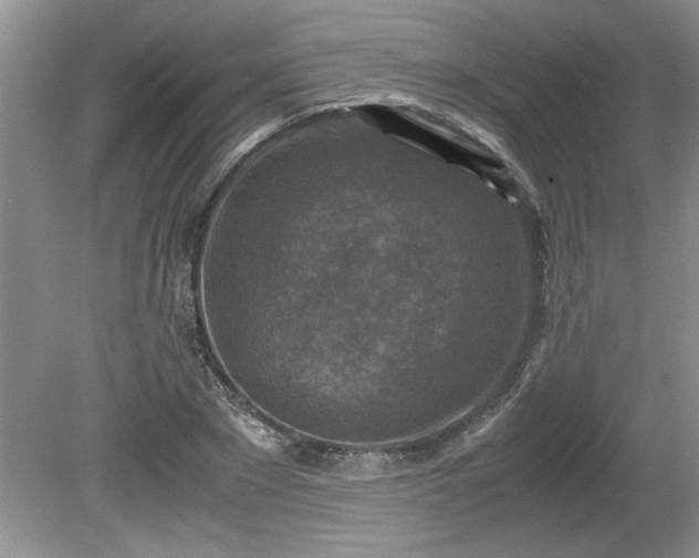 X0000081570881200701221050