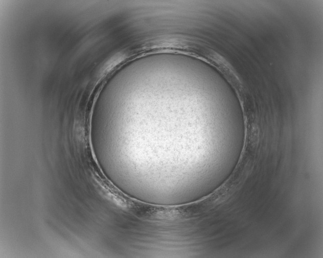 X0000081570882200701221050