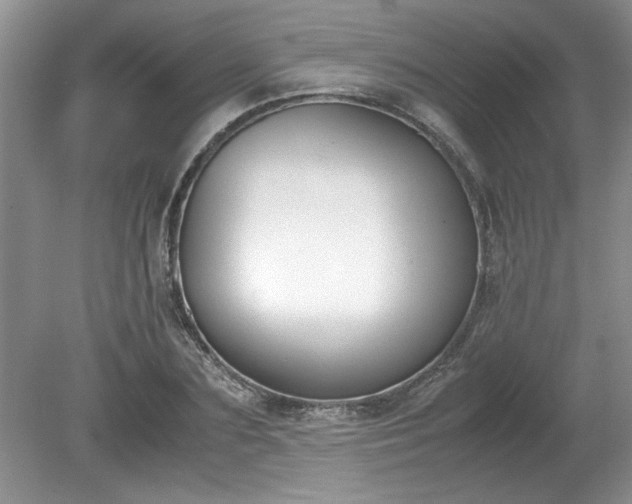 X0000081570883200701221050