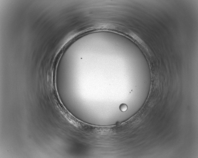 X0000081570886200701221050