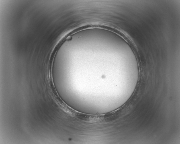 X0000081570887200701221050