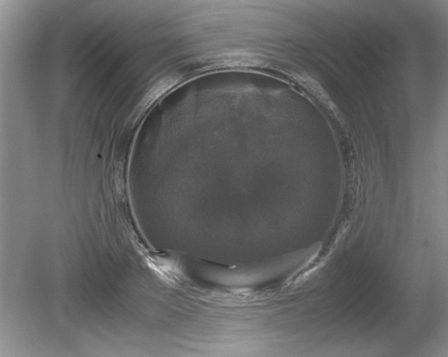 X0000081570889200701221050