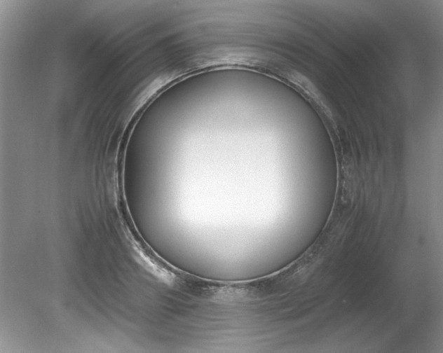 X0000081570890200701221050