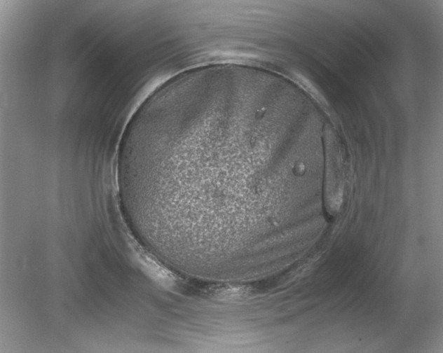 X0000081570891200701221050