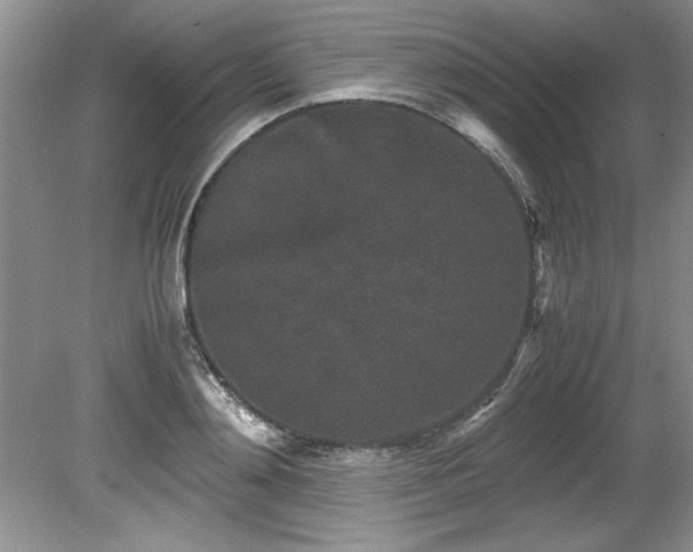 X0000081570892200701221050