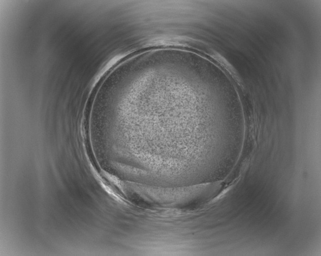 X0000081570893200701221050