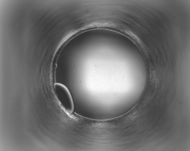 X0000081570894200701221050