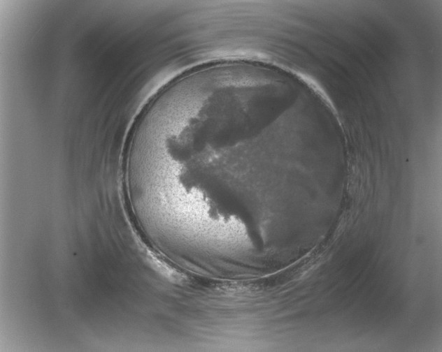 X0000081570895200701221050