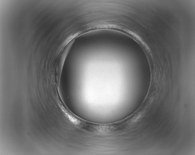 X0000081570897200701221050